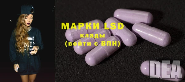 ECSTASY Алзамай