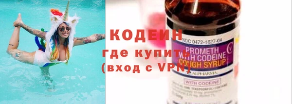 спиды Вяземский