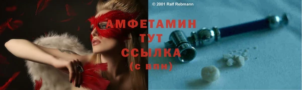 ECSTASY Алзамай