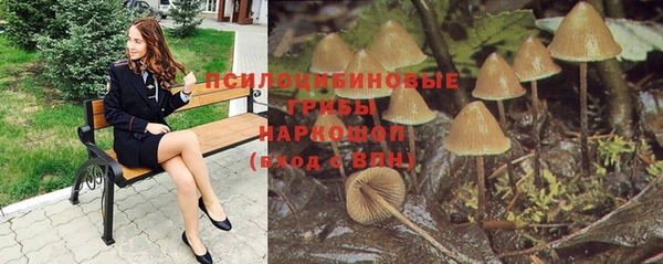 амф Алексеевка