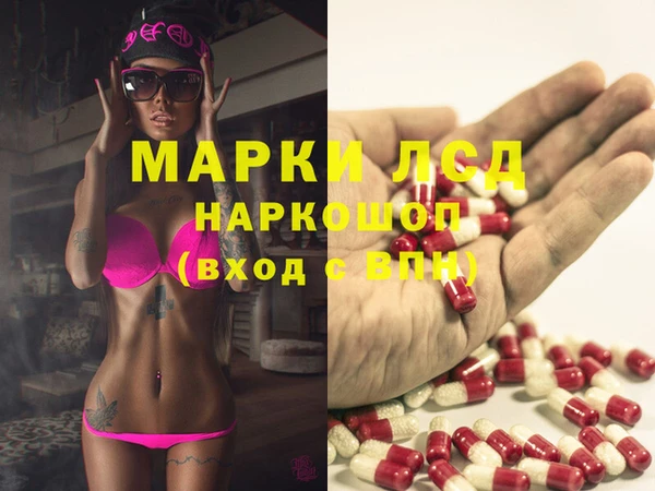 ECSTASY Алзамай