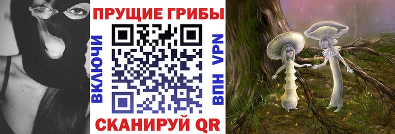 Галлюциногенные грибы Psilocybe Междуреченск